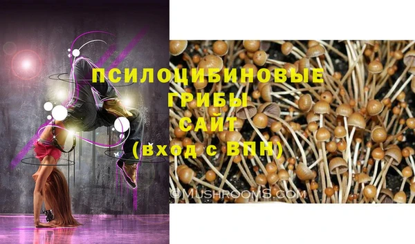 соль ск Белокуриха