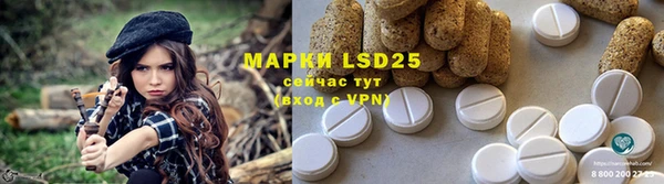 ПСИЛОЦИБИНОВЫЕ ГРИБЫ Верхнеуральск