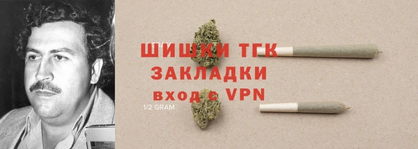 гидра Бронницы