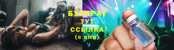 2c-b Бородино