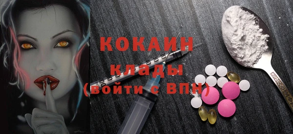 2c-b Бородино