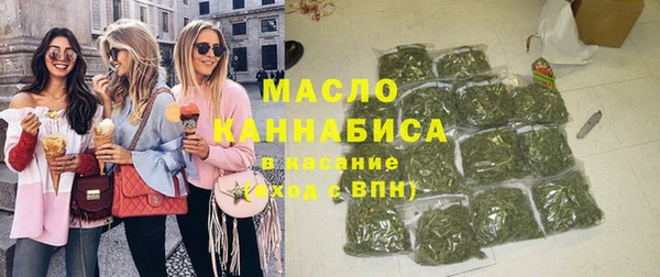 гидра Бронницы
