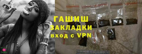 индика Верхний Тагил