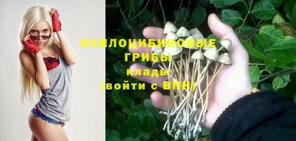 2c-b Бородино