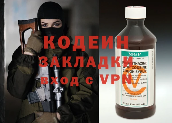 индика Верхний Тагил