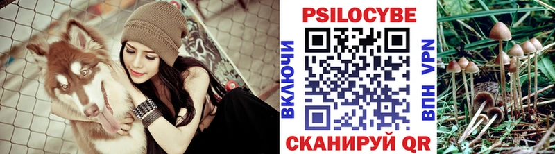 Галлюциногенные грибы GOLDEN TEACHER  закладки  Воскресенск 