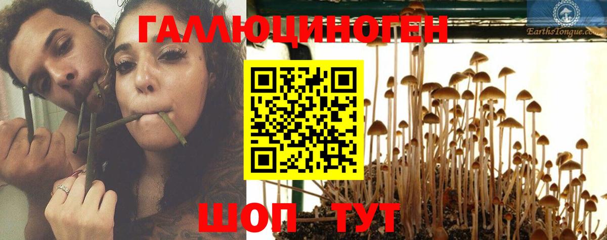 Псилоцибиновые грибы Psilocybine cubensis  Вход с VPN  Воскресенск 