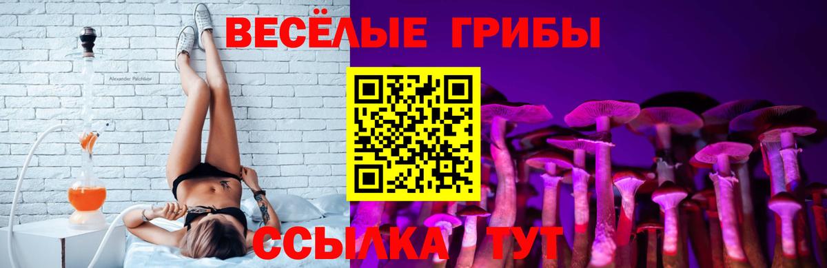 Галлюциногенные грибы мухоморы Воскресенск